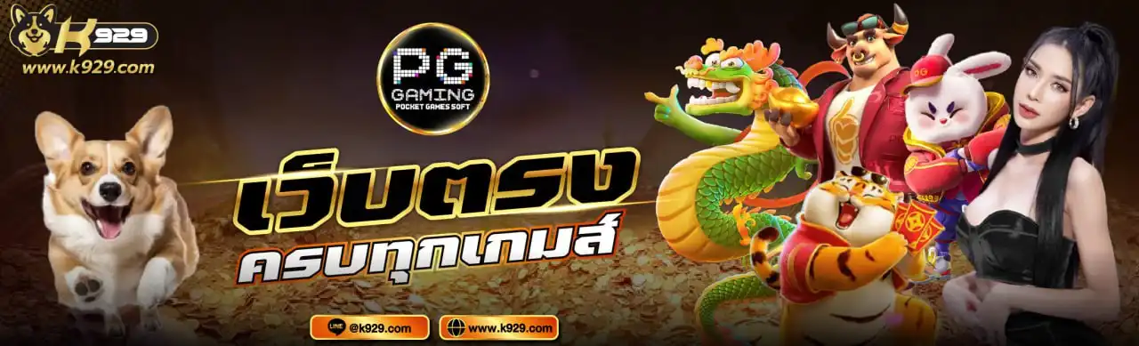 banner20250130103653203